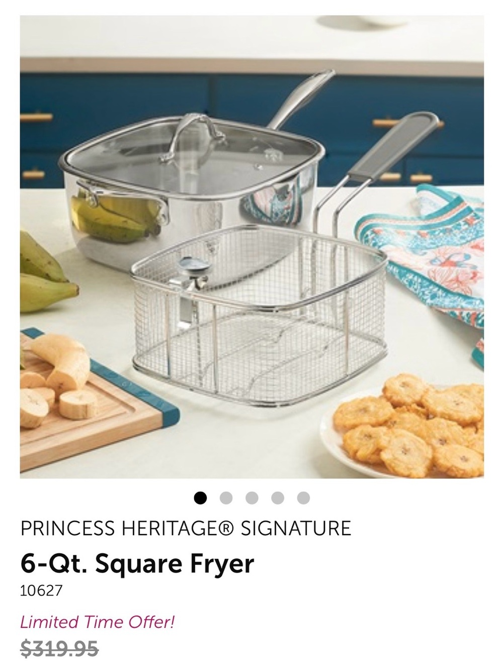 Princess House Stainless Steel Square Fryer with Basket